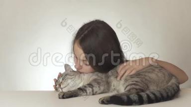 美丽的少女亲吻和拥抱她心爱的猫泰国品种的白色背景股票视频。